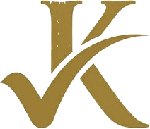 VizeKontrol